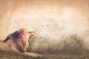 INSTABILELAB - ilmezzomancante - Roar of the Lion