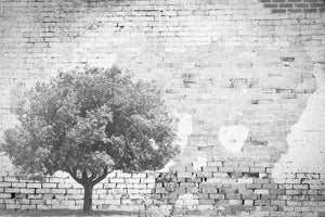 INSTABILELAB - ilmezzomancante - The Tree and the Wall