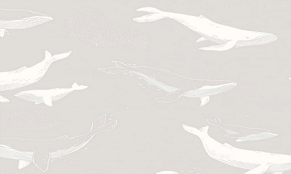 Papel pintado Coordonné NewBie Whales